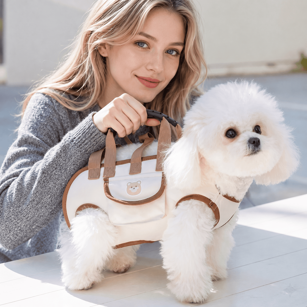 Pet Carrier