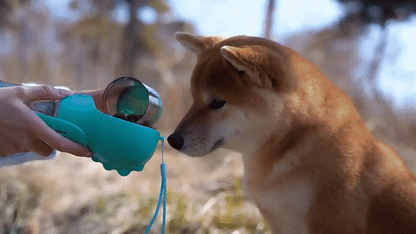 PawPack Multi-Use Water Bottle