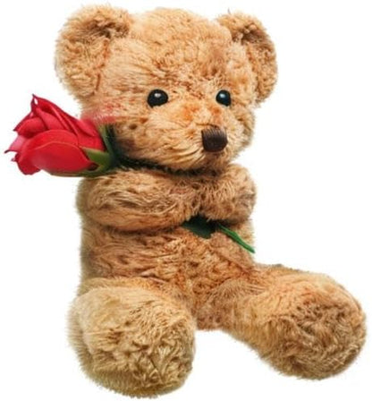 Huggable Bear with Flower