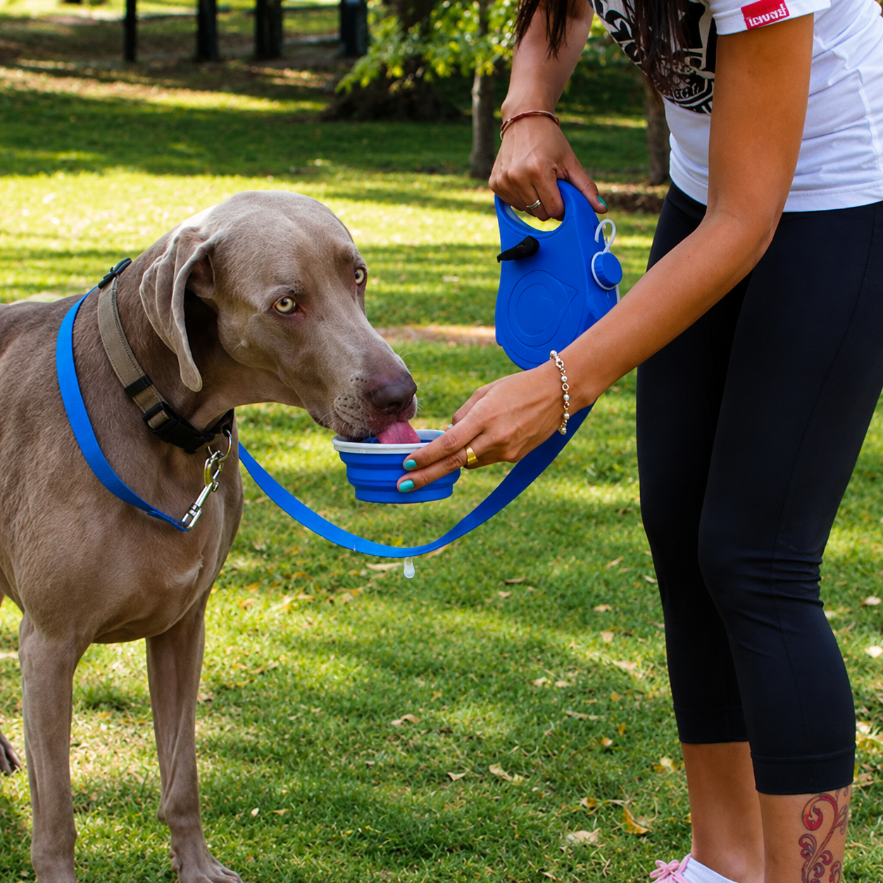 PawSip 5-in-1 Dog Leash