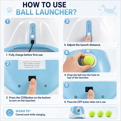 Automatic Dog Ball Launcher